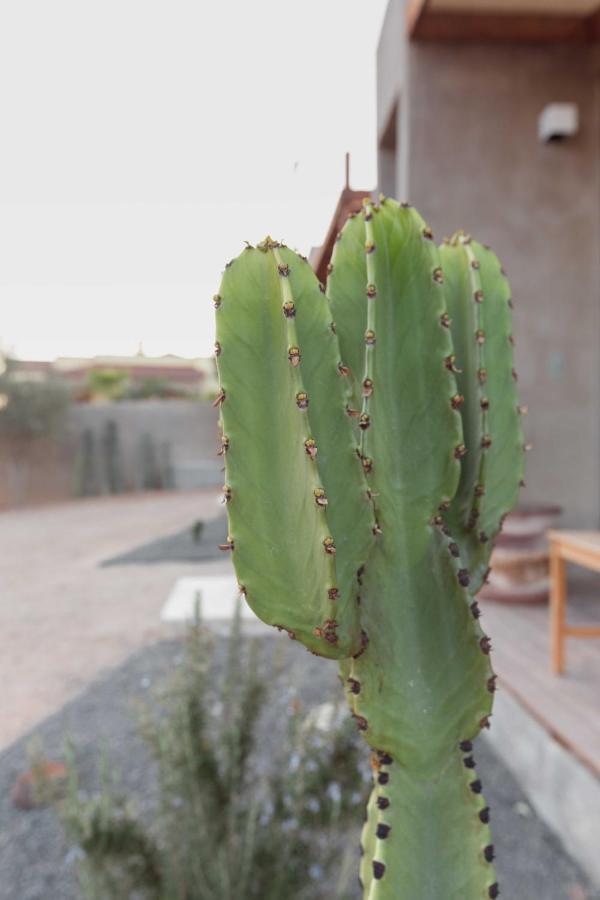 Casa Michaus Valle De Guadalupe Esterno foto