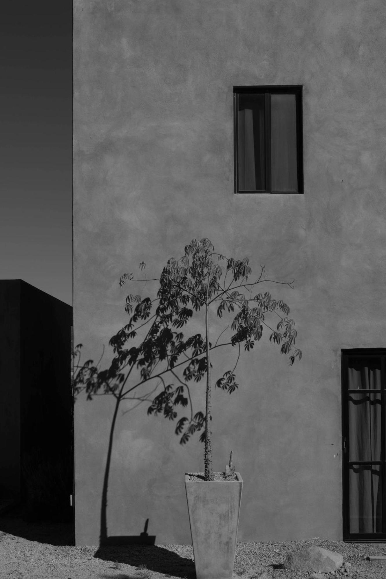 Casa Michaus Valle De Guadalupe Esterno foto
